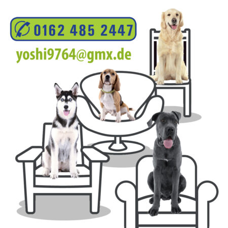 Hundecoach Einzeltraining